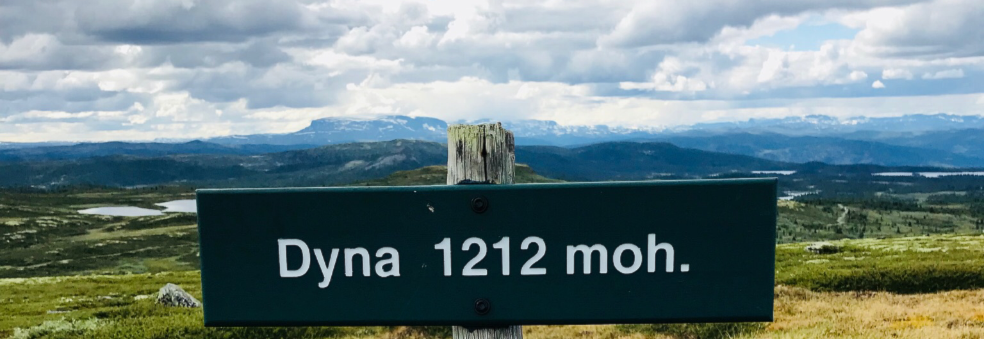 Ni på Tøpptur nr.7 til Dyna